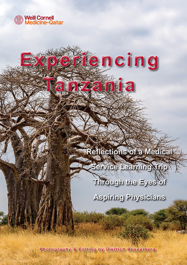 image of Experiencing Tanzania: Reflections of a Medical Service Learning Trip Through the Eyes of Aspiring Physicians
